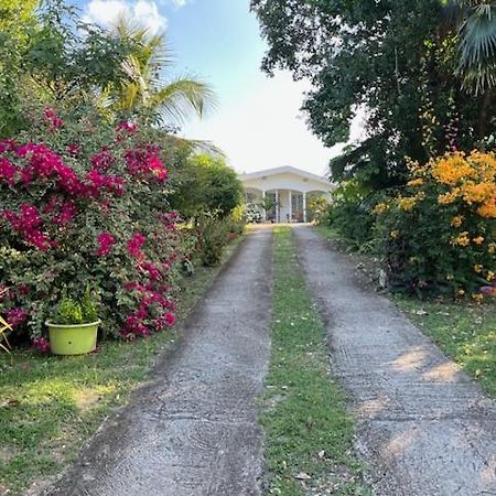 Jardin Des Anges-Bungalows Creoles Et Studio لو مول المظهر الخارجي الصورة
