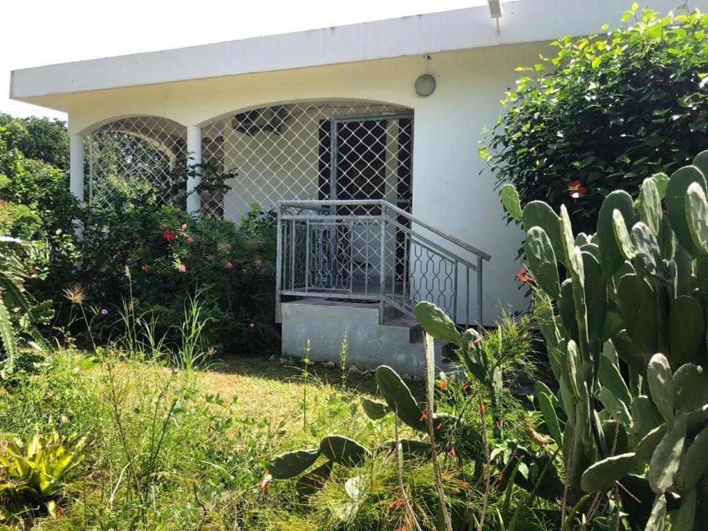 Jardin Des Anges-Bungalows Creoles Et Studio لو مول المظهر الخارجي الصورة